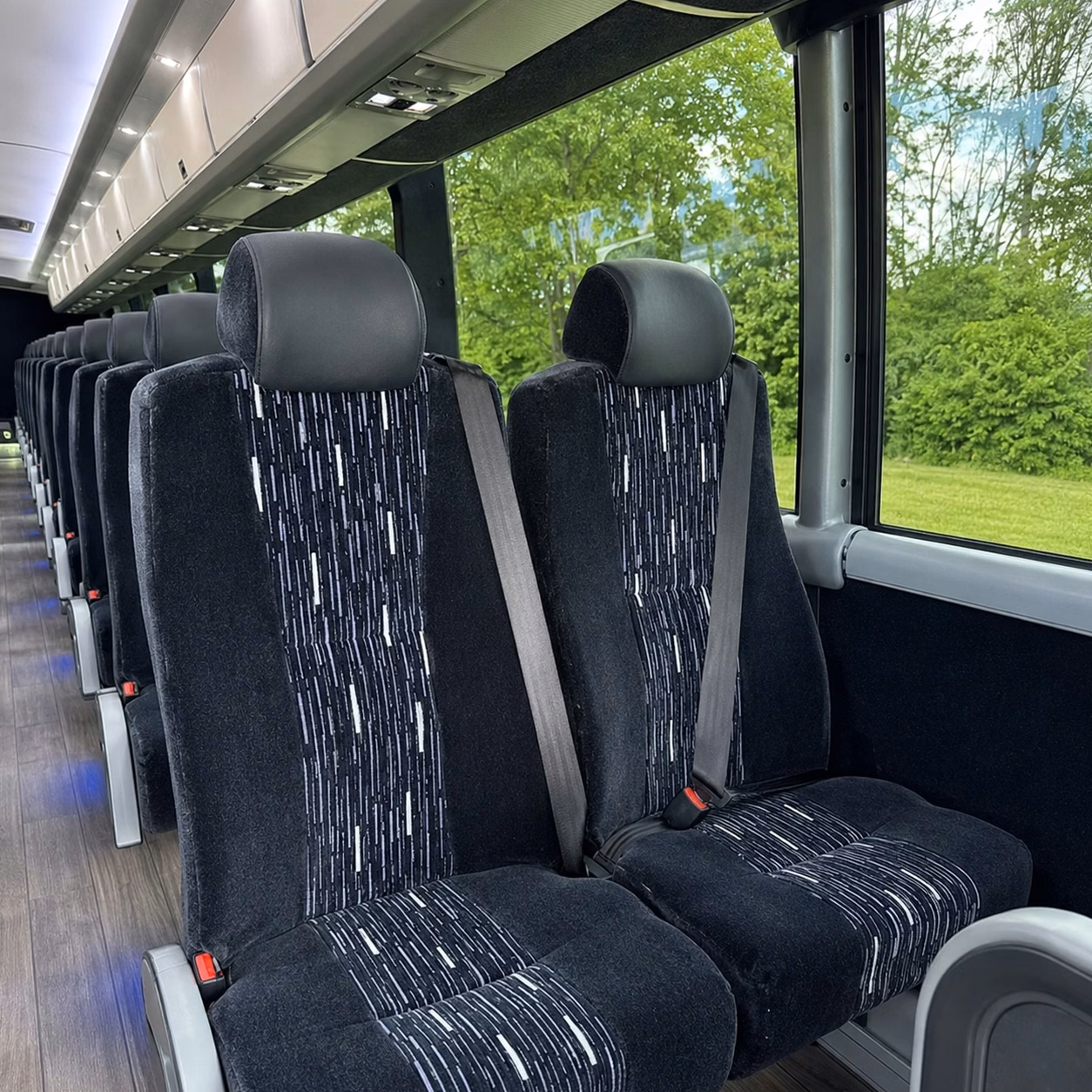 compare buses in minutes not days